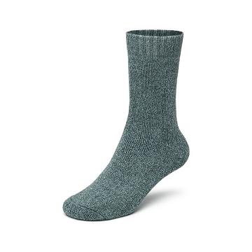 Calcetines Allbirds Trino® Cozy Crew Hombre Verdes | MX4342FM