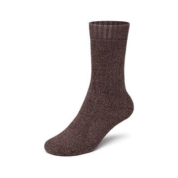 Calcetines Allbirds Trino® Cozy Crew Hombre Rojos | MX4343DN