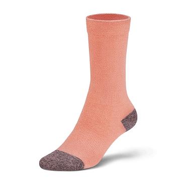 Calcetines Allbirds Trino® Tubers Hombre Naranjas Marrom | MX4346PQ