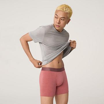 Ropa Interior Allbirds Trino® Boxer Brief Hombre Rojos | MX4273RW