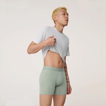 Ropa Interior Allbirds Trino® Boxer Brief Hombre Verdes | MX4274EX