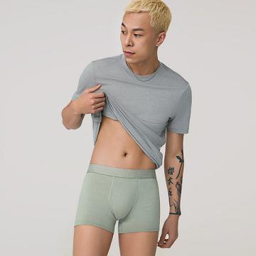 Ropa Interior Allbirds Trino® Trunk Hombre Verdes | MX4280VD